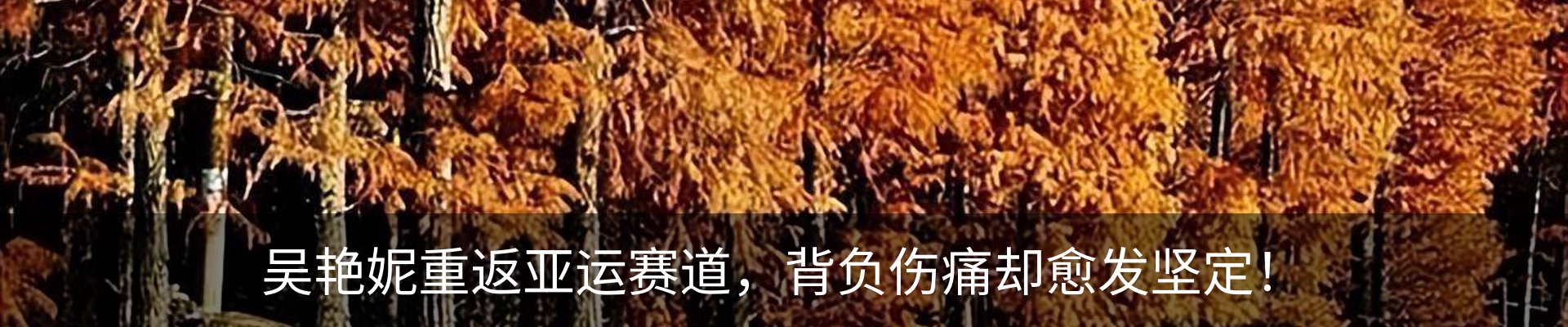 资讯动态