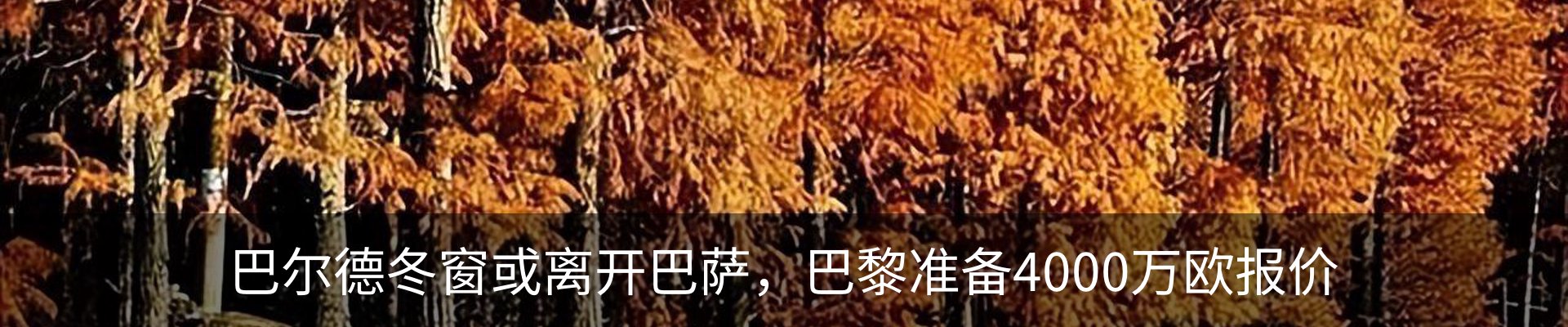 资讯动态